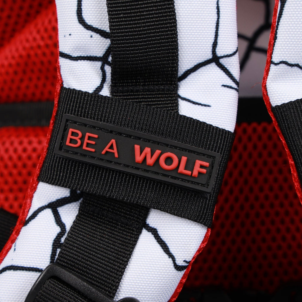 25L Backpack Part 3: The Ruin