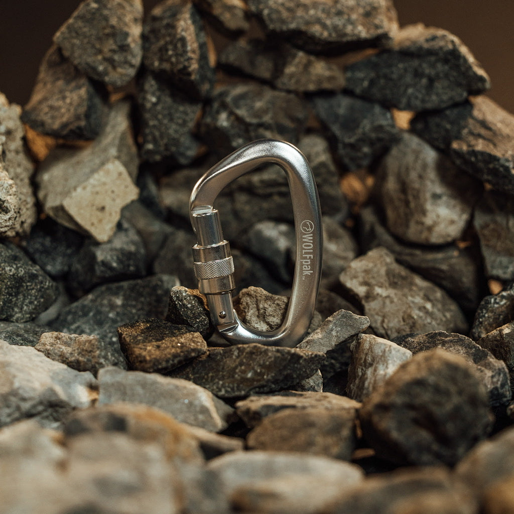 Accessory Carabiner Silver