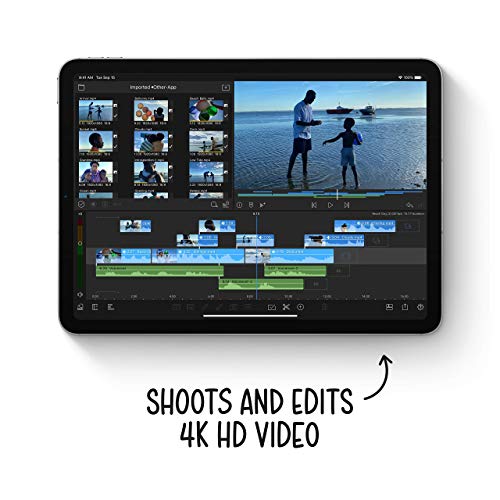 2020 Apple 10.9-Inch iPad Air (4th Generation) with Wi-Fi – 256GB – Space Gray – MYFT2LL/A