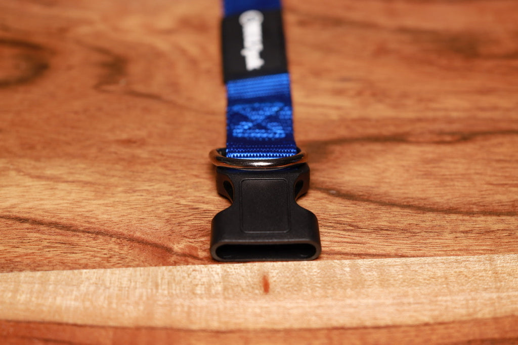 Adjustable Nylon Dog Collar Champion Blue