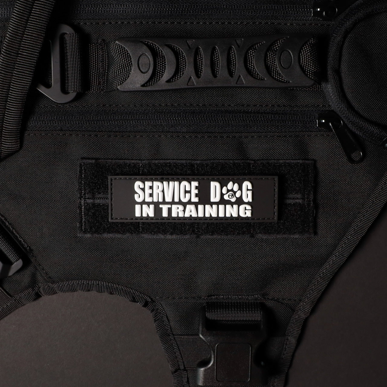 Service Dog In Training w/White Paw