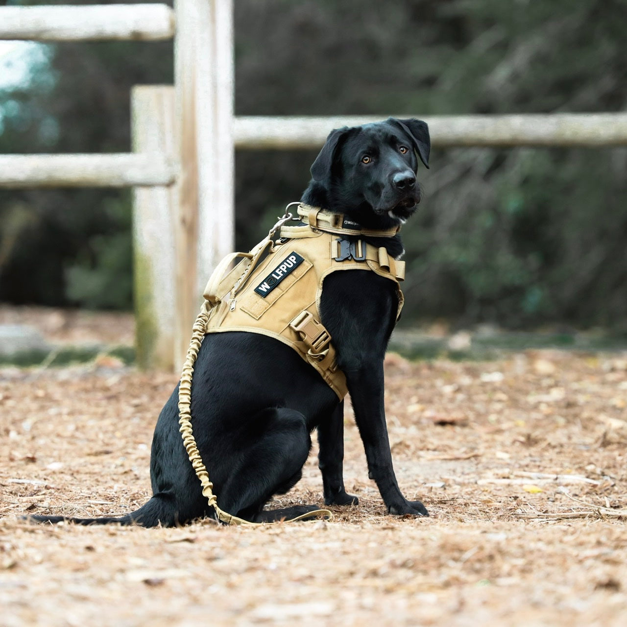 Khaki Tactical Dog Vest Harness