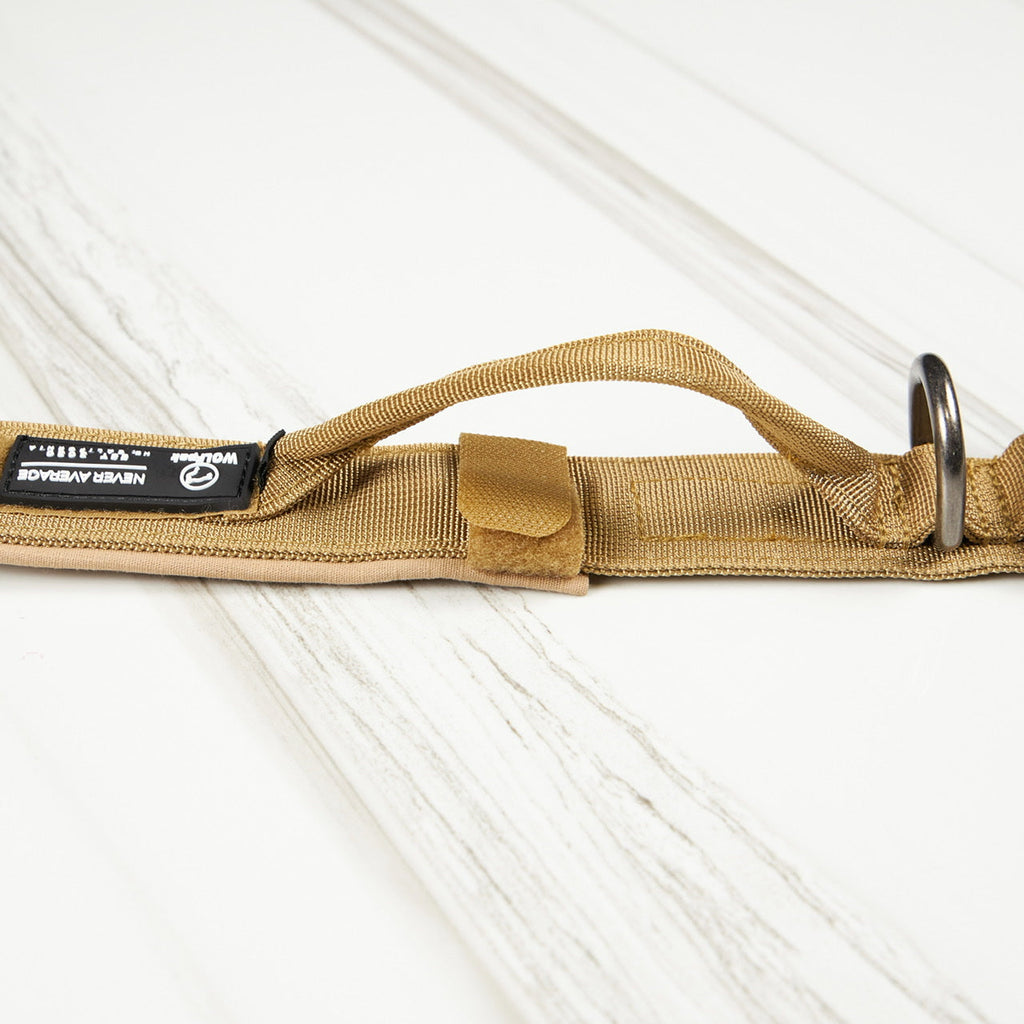 Tactical Nylon Dog Collar Khaki