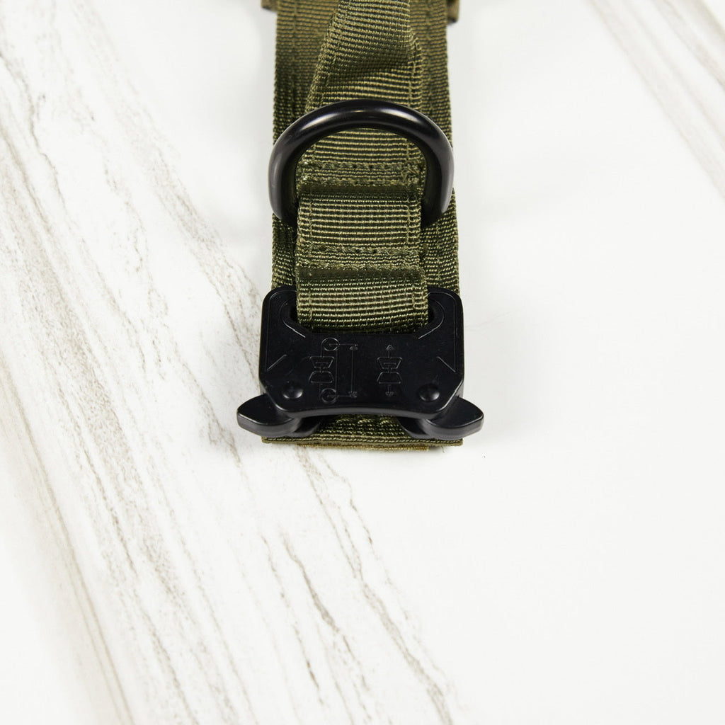 Tactical Nylon Dog Collar Green