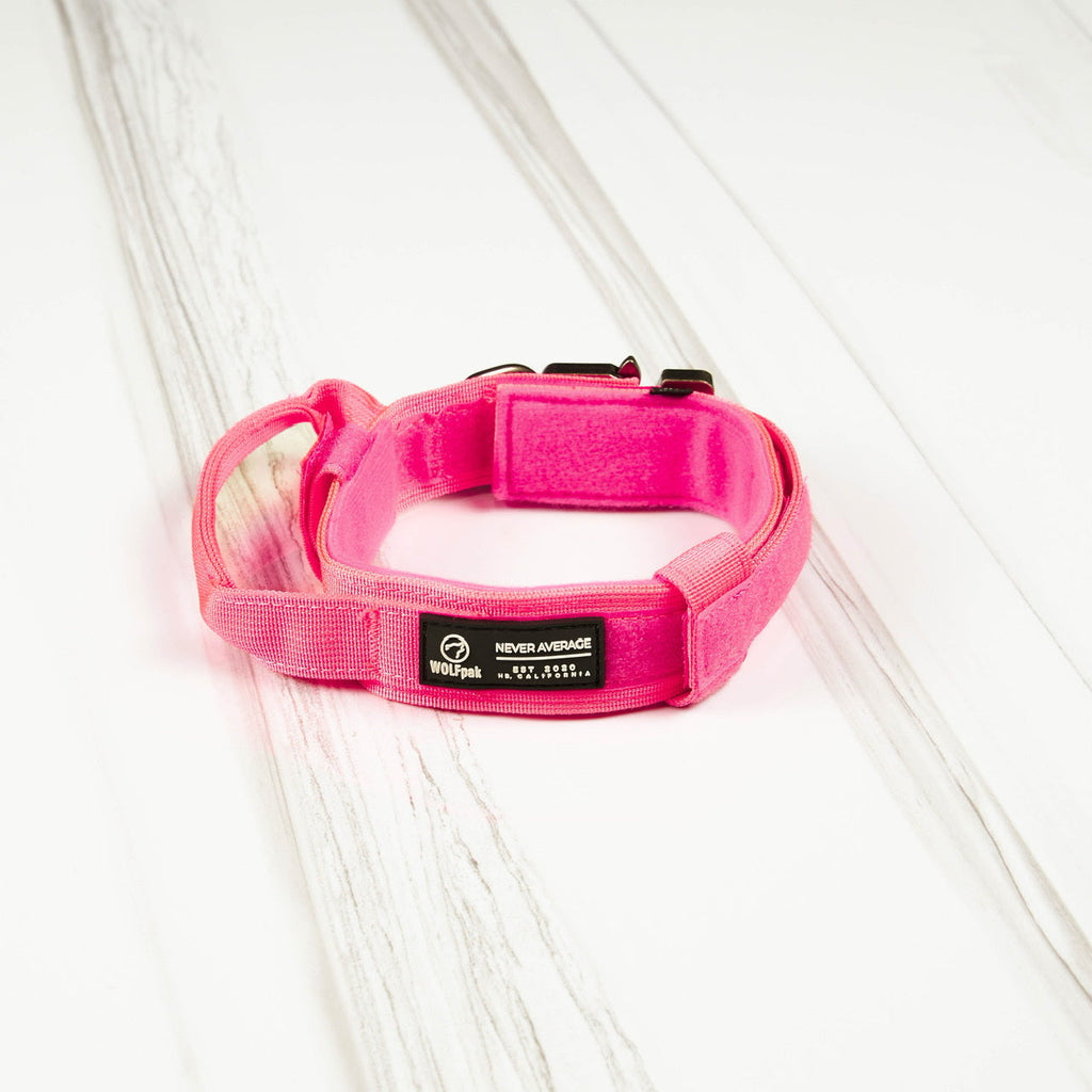 Tactical Nylon Dog Collar Neon Pink