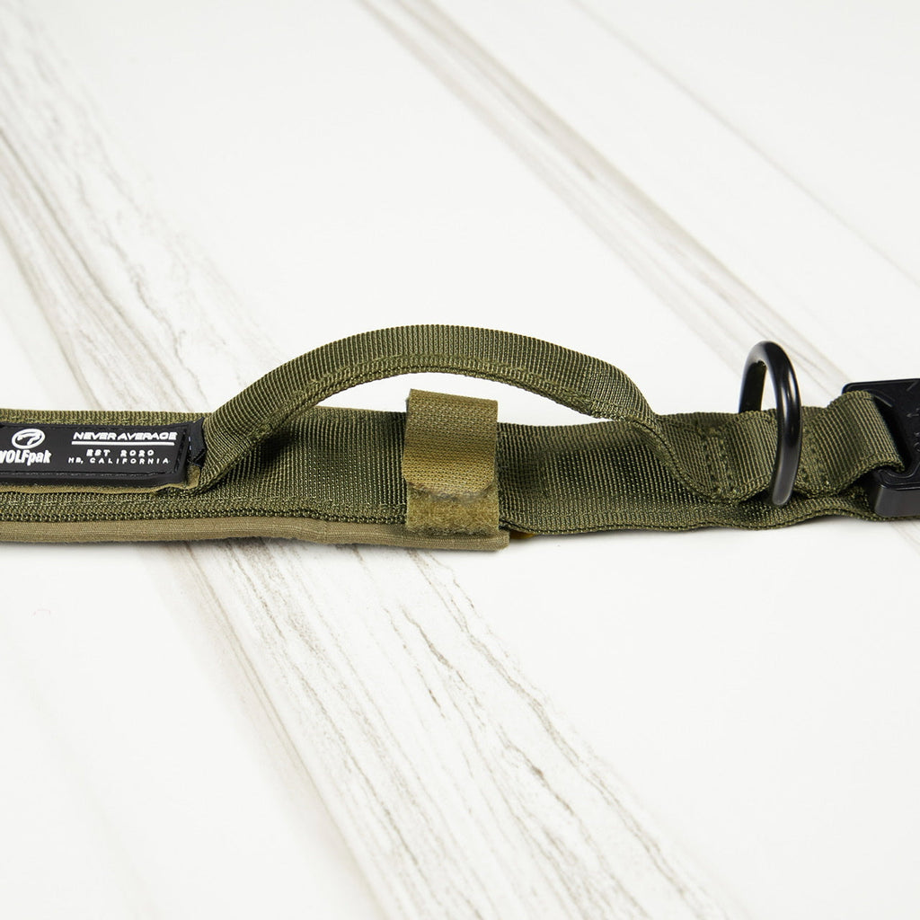 Tactical Nylon Dog Collar Green