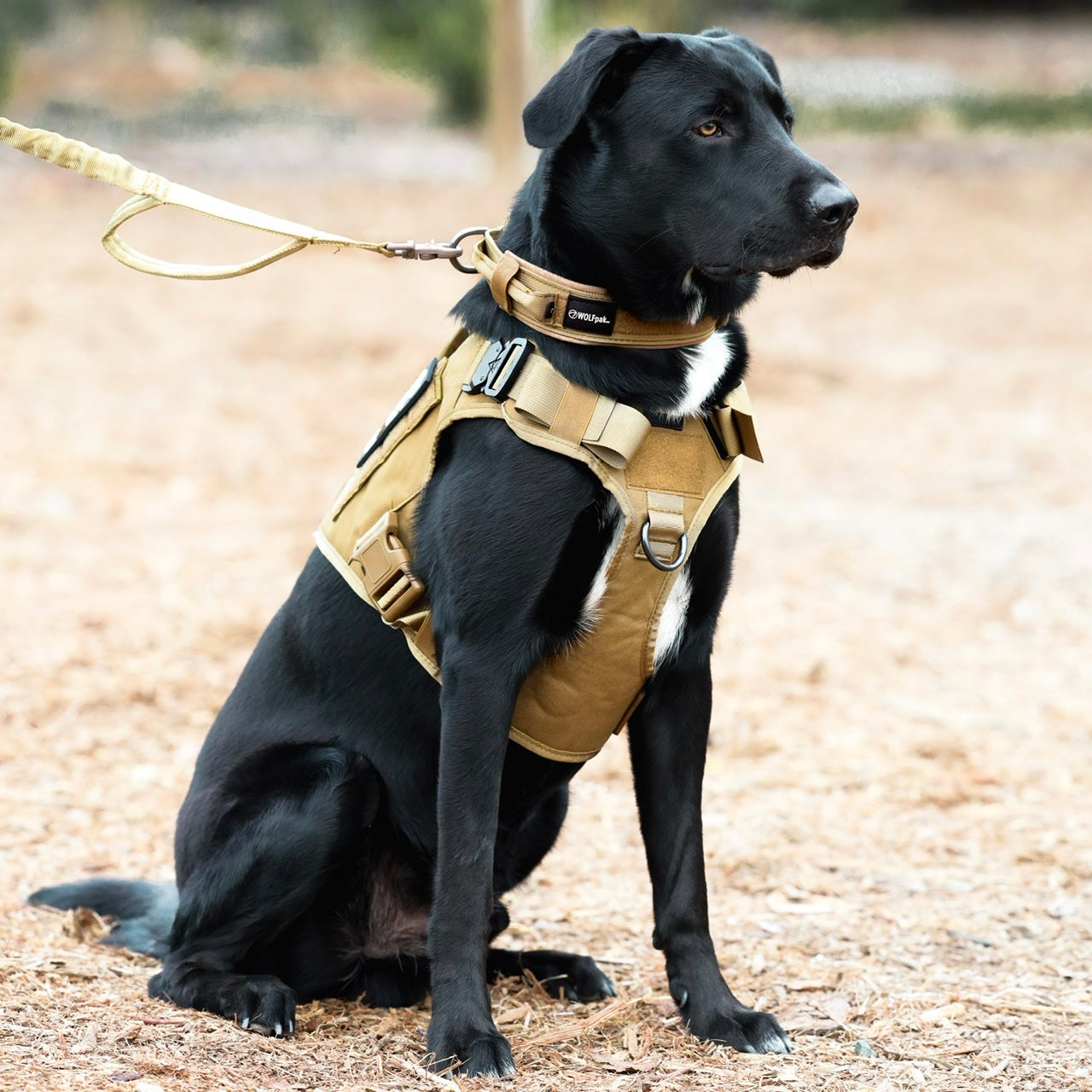 Khaki Tactical Dog Vest Harness
