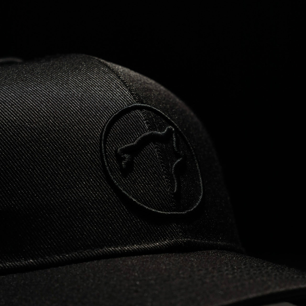 Performance Curved Bill Hat Nightshade