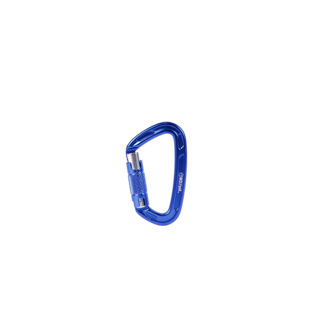 Auto Locking Carabiner Blue & Silver
