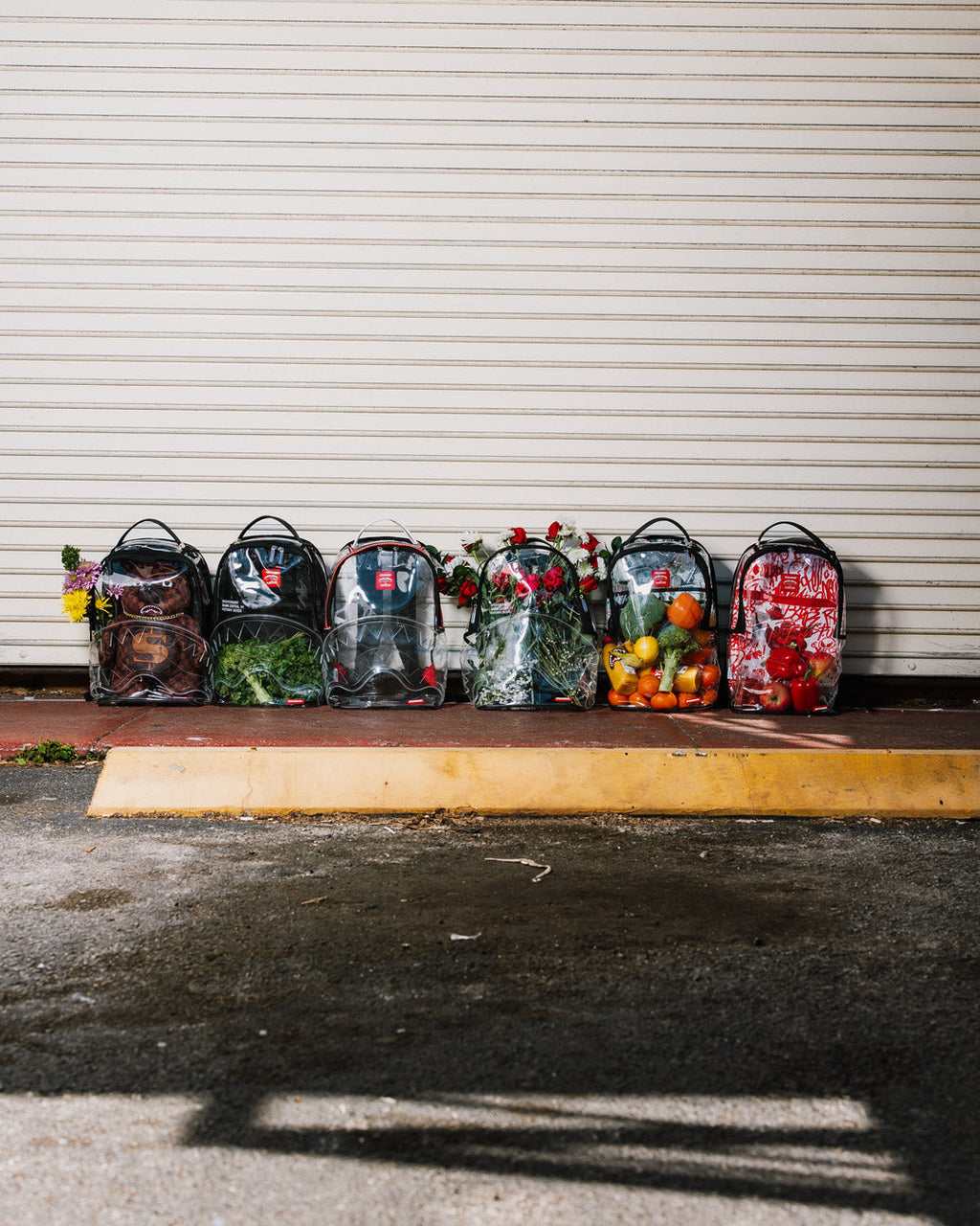 100% CLEAR BACKPACK SHARK